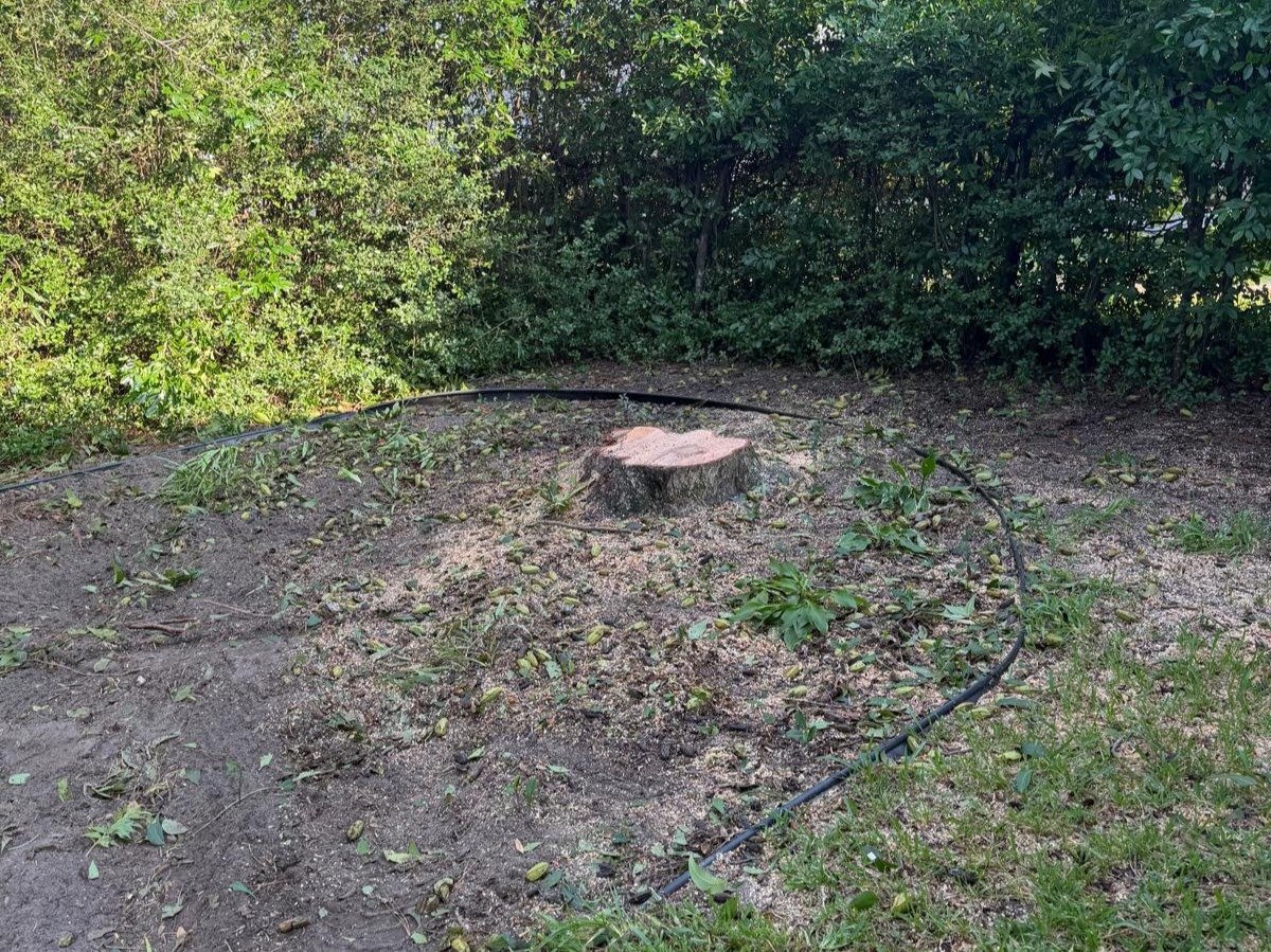 El Costeño Tree Service LLC